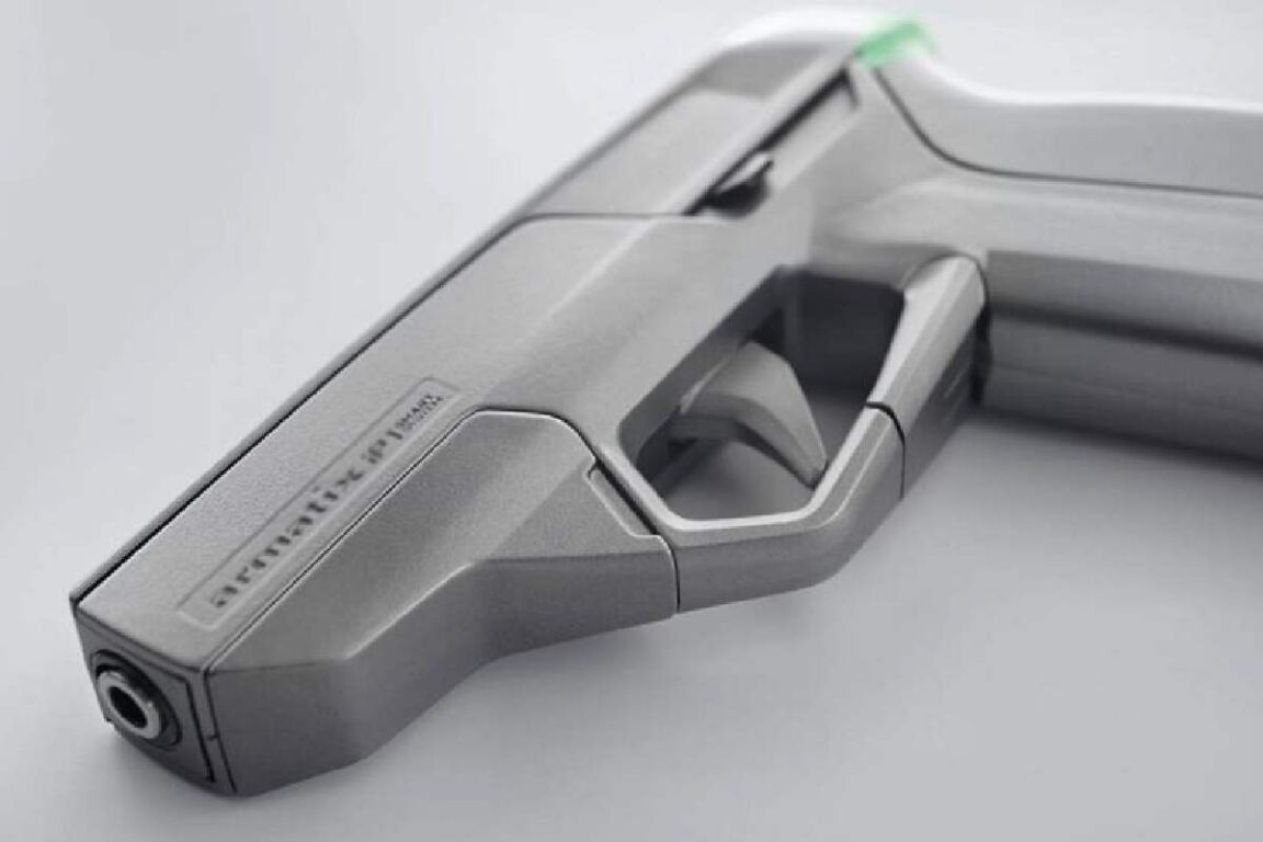 All You Need to Know About Smart Guns