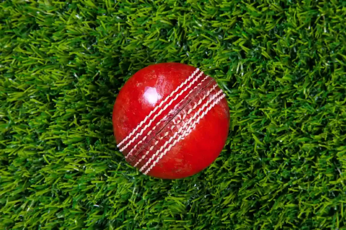 Ball-by-Ball Odds