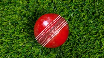 Ball-by-Ball Odds